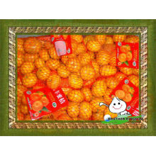 Bebé naranja bebé naranja mandarina